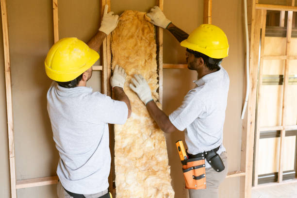 Best Wall Insulation Installation  in Brookhaven, MS